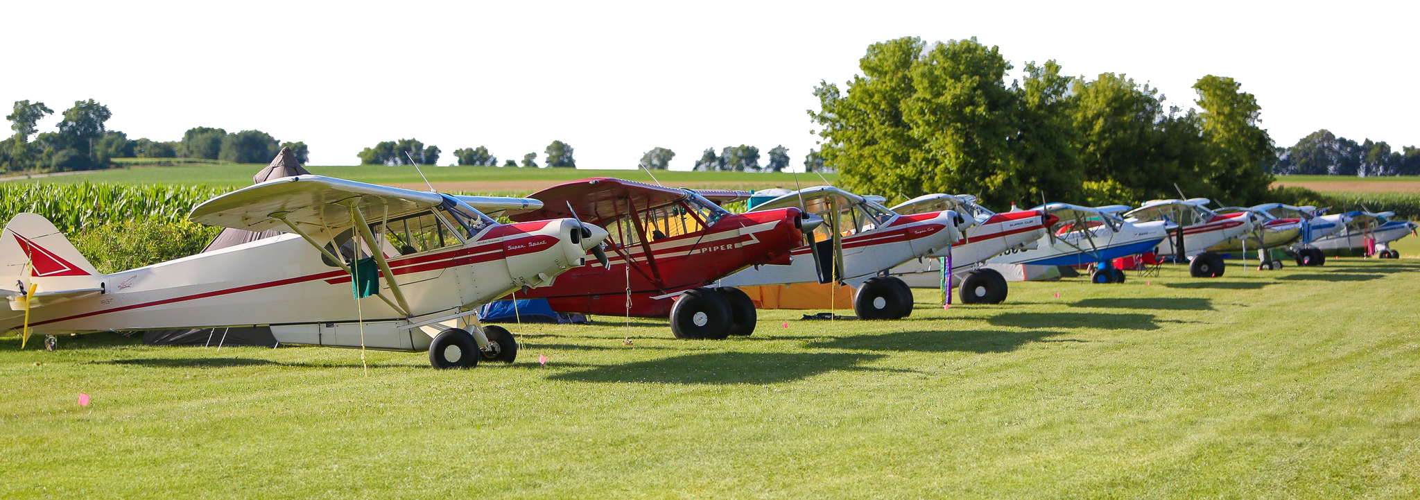 297138323_125356446875199_6261319590574530479_n edited alpha